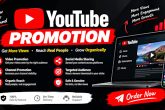 do youtube promotion and organic video promotion