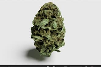 engaging content for your recreational cannabis business