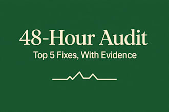 audit your local business online presence in 48 hours with PDF top 5 fixes