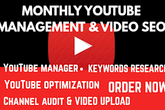 do monthly youtube channel management, SEO and optimization for music artist