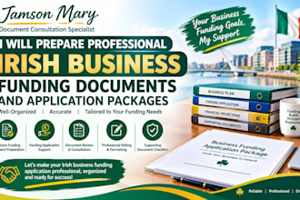 prepare professional irish business funding documents and application packages