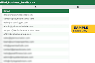 find business emails for any niche in any city