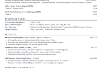 design a professional resume tailored to your needs
