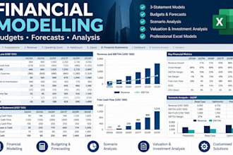 build financial models, budgets and forecasts