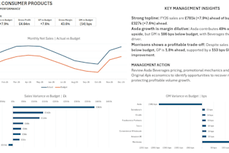 create an excel financial dashboard and profitability analysis