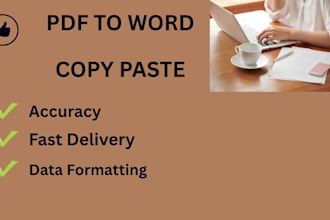 do professional pdf to word conversion, copy paste and typing work