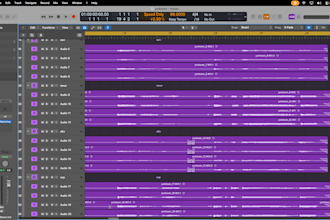 record vocals for your song