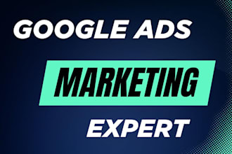 google ads campaign expert