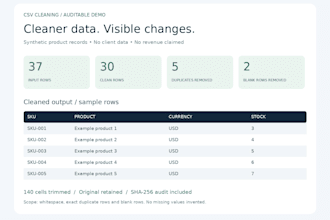 clean your CSV data and provide a clear audit report