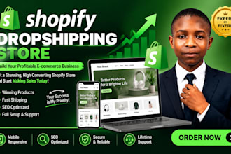 build a profitable shopify droshipping store