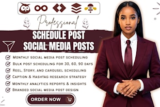 schedule post on hootsuite buffer metricool later loomly social bee social pilot