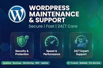do wordpress website maintenance, support and monthly care plan