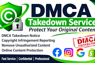 provide professional dmca takedown and copyright protection services