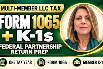 prepare form 1065 and schedule k 1s for your multi member llc
