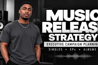 plan a strategic music release campaign for independent artists