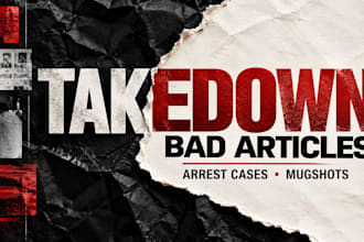 takedown bad articles, arrest case, mugshots, false news, unwanted google links