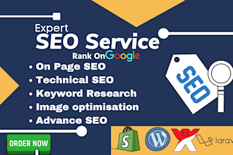 monthly on page SEO service for your wordpress website to