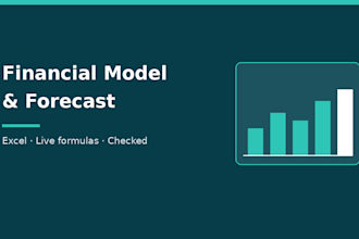 build a financial model or forecast in excel