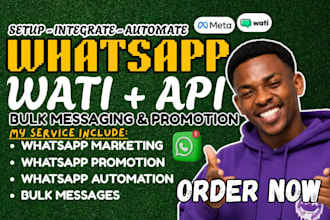 set up whatsapp API, mass dm, promotion and marketing campaigns
