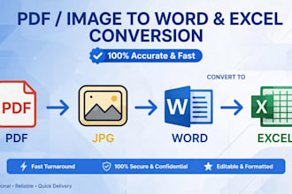do data entry, excel work, typing work, pdf to excel and data conversion