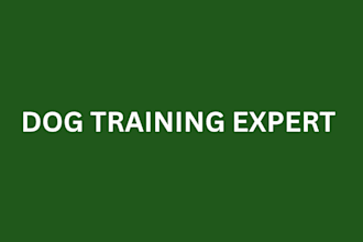 do dog training video to train your pet