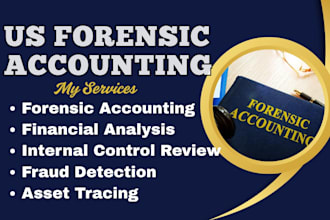 do forensic accounting, fraud investigation, financial analysis, asset tracing