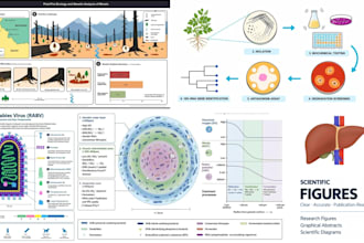 design figures and illustrations for research