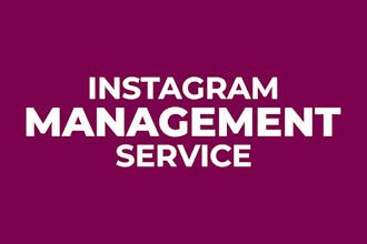 be your insta page manager for month