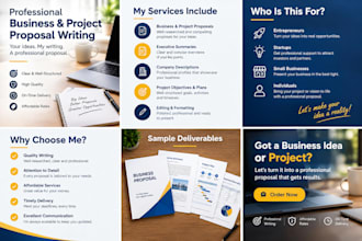 write a professional business proposal or project proposal