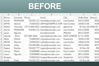 clean and organize your excel spreadsheet