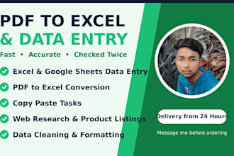 do excel data entry and spreadsheet trackers