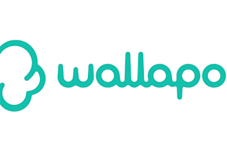 help you buy items from wallapop vinted and todocoleccion from spain