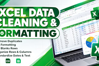 excel data cleaning and spreadsheet formatting