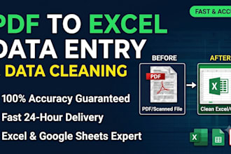 convert PDF to excel, clean data, and format spreadsheets with accuracy