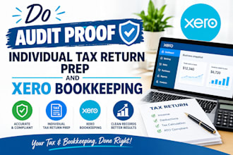 do audit proof individual tax return prep and xero bookkeeping