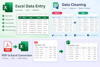 do accurate excel data entry, copy paste and web research