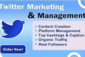 grow twitter x followers with organic x marketing and promotion