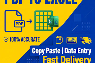 do accurate data entry copy paste and PDF into excel
