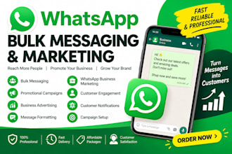do professional whatsapp bulk messaging and marketing services