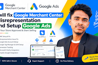 fix gmc misrepresentation and set up google ads campaigns