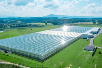 design 3d commercial greenhouses hydroponic farm layouts