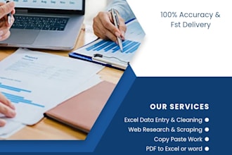 data entry,excel expert, and web research