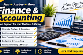 make a high standard finance and accounting resume and CV