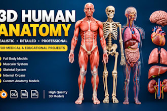 create realistic 3d human anatomy model for medical and educational projects
