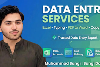 fast data entry, excel work, pdf to word and typing work