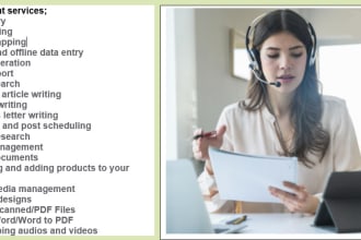 be your virtual assistant for admin and customer support