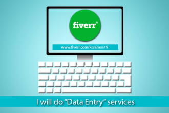 provide admin support,Data Entry Task