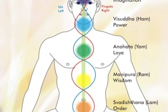 balance your Chakras with Distance Healing Reiki One hour session