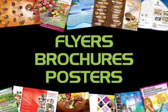 design flyers and brochures