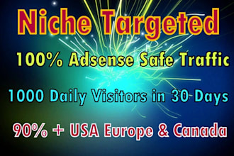 drive niche targeted real website,traffic,visitors
